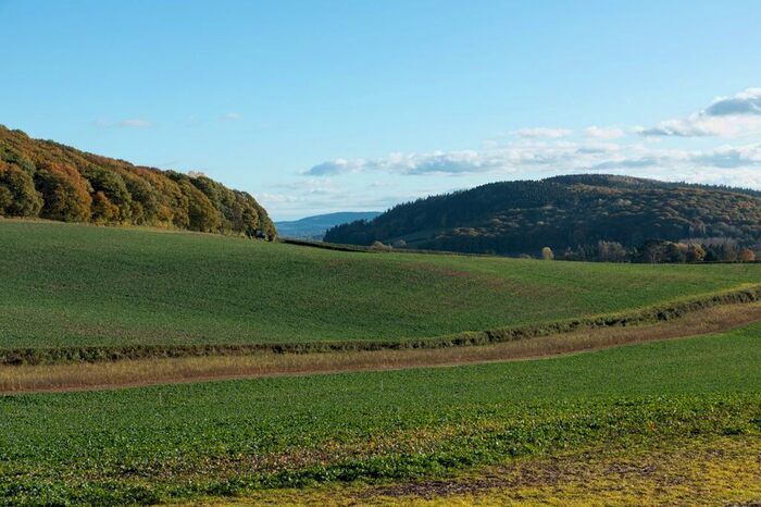 Land For Sale In Brinsop, Hereford, Herefordshire, HR4
