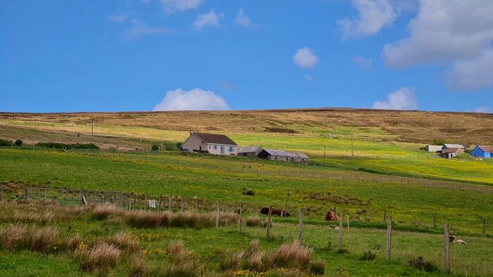 2 Bedroom Detached Bungalow For Sale In Lyde Road, Firth, Orkney, KW17