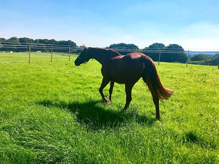 Land For Sale In Butcherfield Lane, Hartfield, East Sussex, TN7