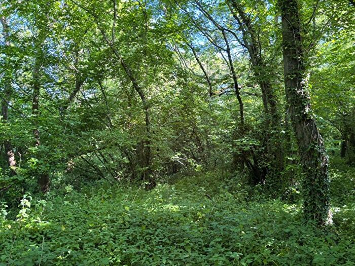 Farm Land For Sale In Great Pit Lane, Rimpton, Yeovil, BA22