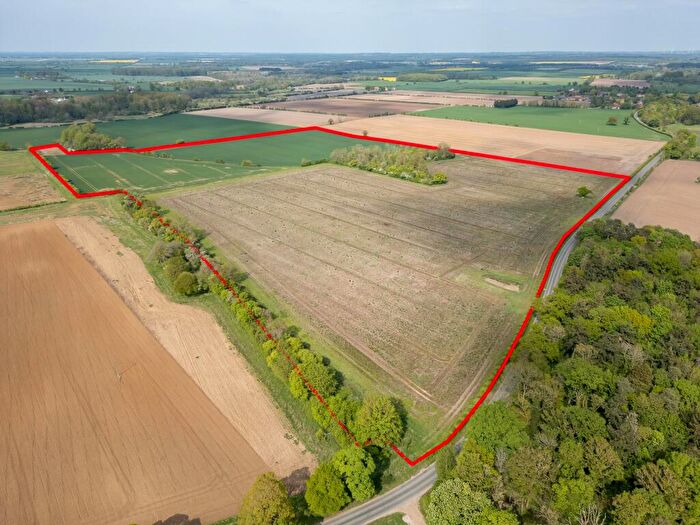 Farm Land For Sale In . Acres Of Agricultural Land At Oxborough, PE33