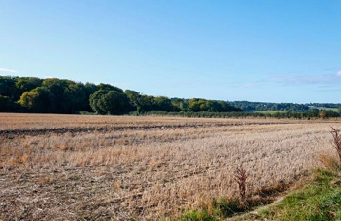 Land For Sale In Pipers Hill, Great Gaddesden, Hemel Hempstead, HP1