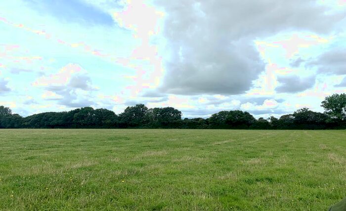 Land To Rent In Land At Marston Magna, BA22