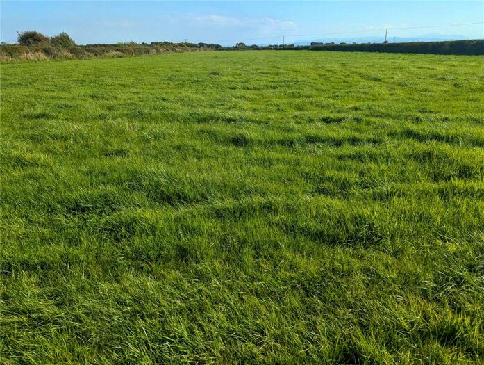 Land For Sale In Land At Whitrigg - Lot, Kirkbride, Wigton, Cumbria, CA7