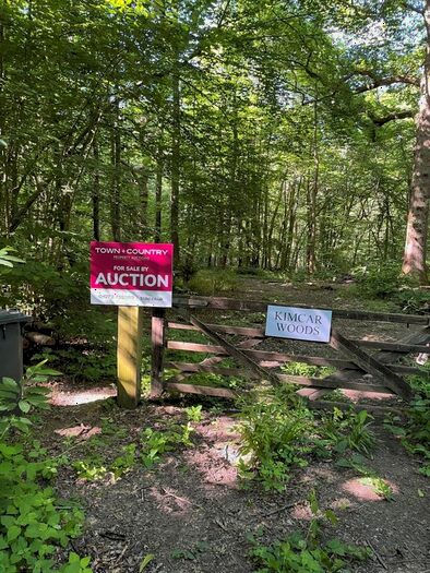 Land For Sale In Woodland At Callums Wood, Catsfield Road, Ninfield, Battle, East Sussex, TN33