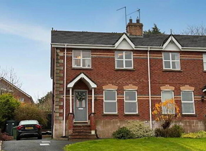 3 Bedroom Semi-Detached House For Sale In Whitethorn Brae, Dromore, BT25