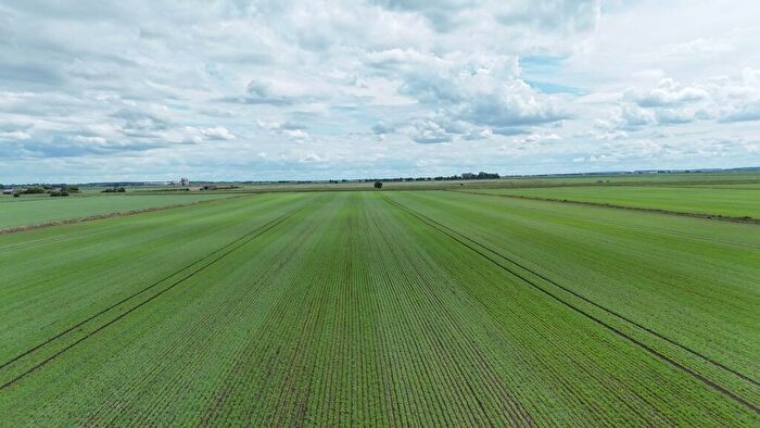Farm Land For Sale In Lot - . Hectares (. Acres), Land At Branston Booths, Heighington Fen, Lincolnshire, LN4