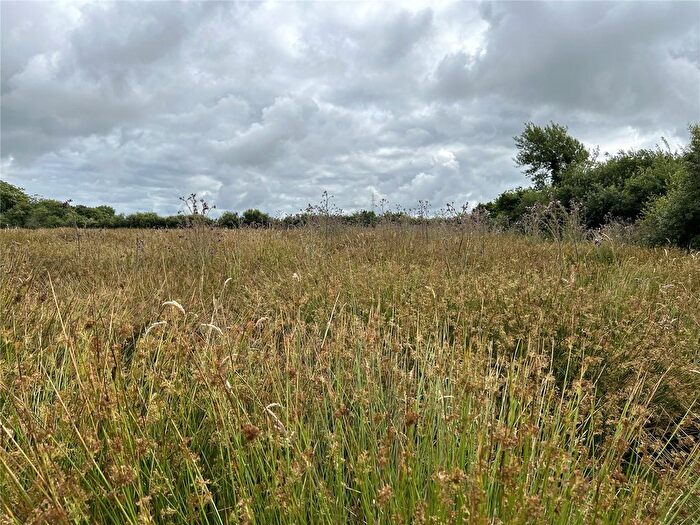 Land For Sale In Whitstone, Holsworthy, Cornwall, EX22