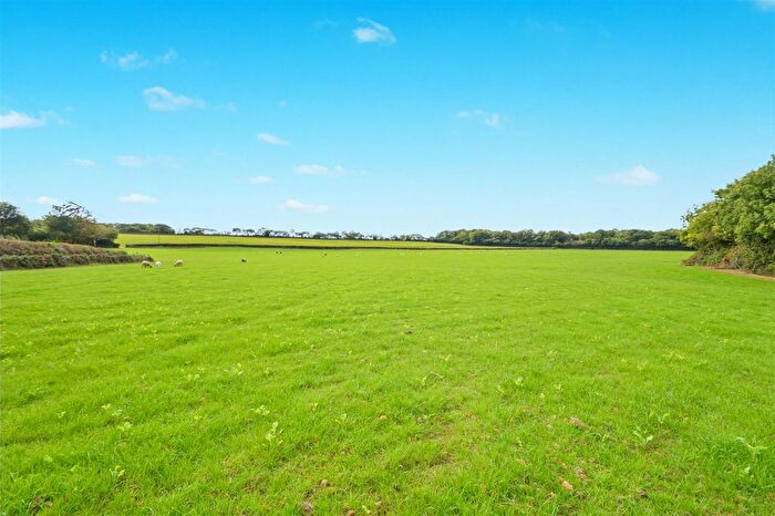 Land For Sale In Nr Ashwater, Devon, EX21