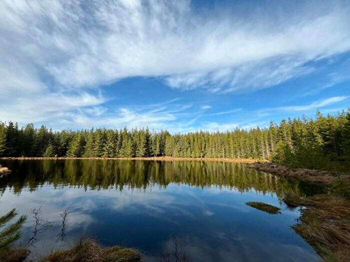 Land For Sale In Ghriama Wood, Lairg, Sutherland, IV27