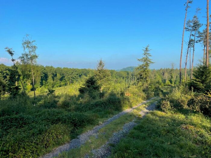 Land For Sale In Teffont, Salisbury, SP3