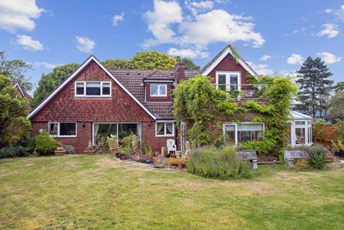 5 Bedroom Detached House To Rent In Selborne Road Croydon, CR0