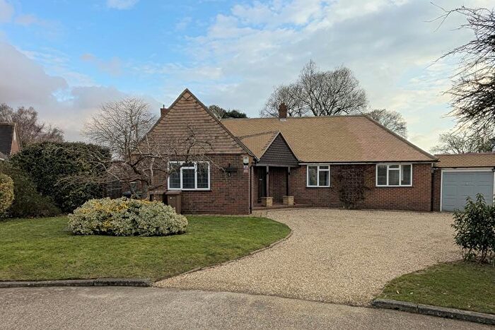 4 Bedroom Detached Bungalow To Rent In Ripley, Surrey, GU23