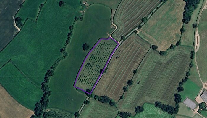 Land For Sale In Awliscombe, Honiton, EX14