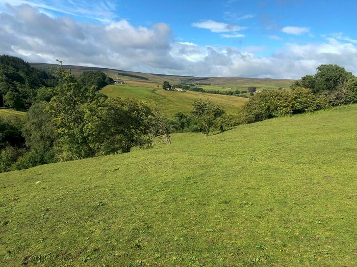 Farm Land For Sale In Land At Sinderhope, Hexham, NE47