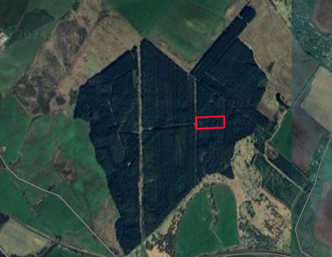 Land For Sale In Plot, Cartland Muir, Lanark, Lanarkshire, ML11