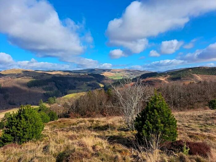 Land For Sale In Haod Y Gau Uchaf, Ysbyty Ystwyth, Ystrad Meurig, SY25