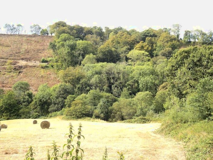 Land For Sale In Cenarth, Newcastle Emlyn, SA38