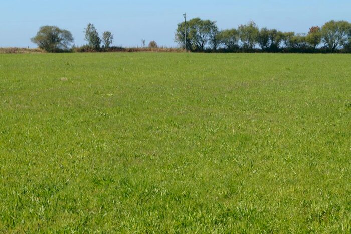 Land For Sale In Rhydargaeau Road, Carmarthen, SA32