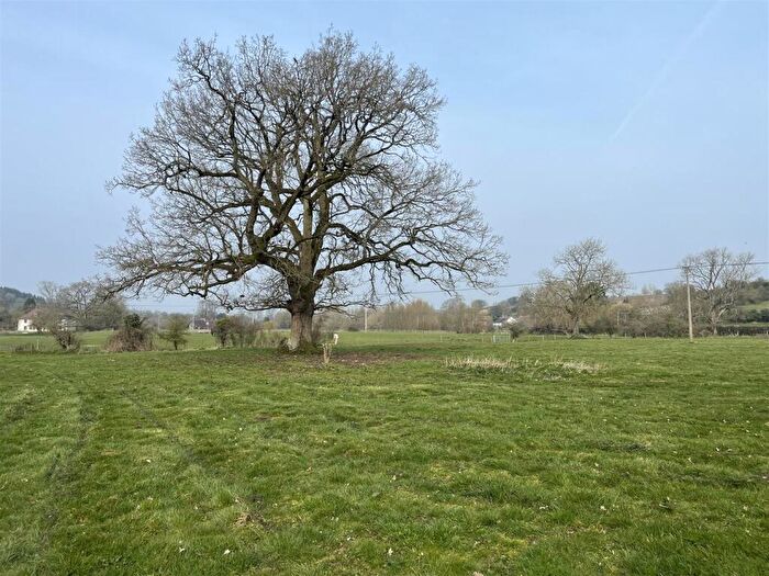 Farm Land For Sale In Stoke Road, St Mary Bourne, SP11
