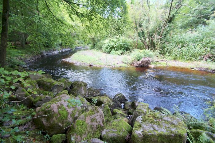 Land For Sale In Trusham, Newton Abbot TQ13