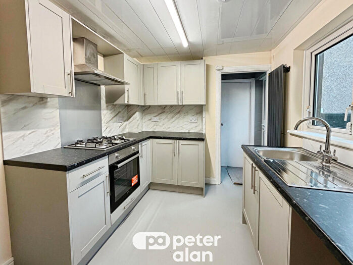 3 Bedroom Terraced House To Rent In North Clive Street, Cardiff, CF11