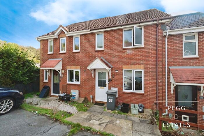 2 Bedroom Terraced House For Sale In Shearwater Drive, Torquay, TQ2