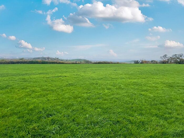 Farm Land For Sale In Dummis Lane, Wookey, BA5