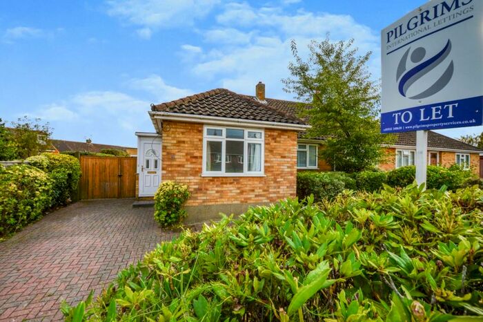 3 Bedroom Semi-Detached Bungalow To Rent In Peatmore Avenue, Pyrford, Woking, Surrey, GU22