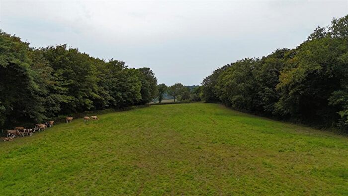 Land For Sale In Catherston Leweston, Charmouth, DT6