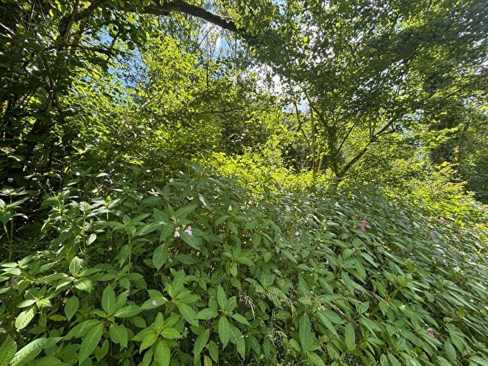 Land For Sale In Llanfynydd, Carmarthen, Carmarthenshire., SA32