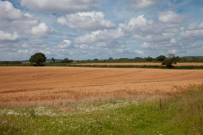 Land For Sale In Over Wallop, Stockbridge, Andover, SO20