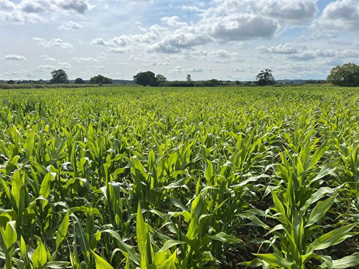 Land For Sale In Bowbridge, Henstridge, BA8