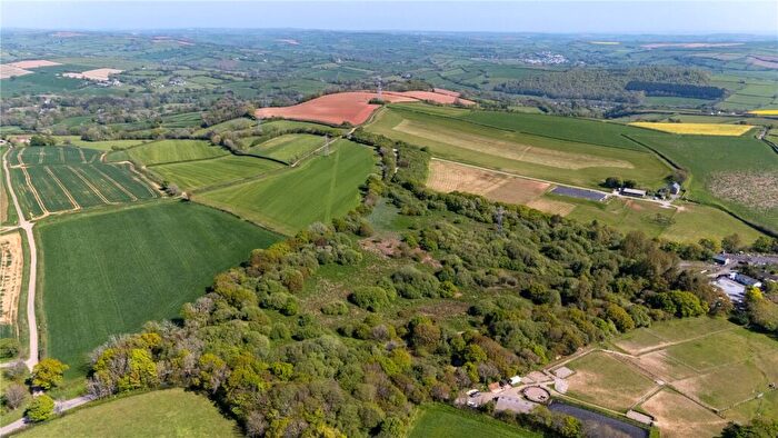 Land For Sale In Lot - Land At Tod Moor, Ermington, Ivybridge, Devon, PL21