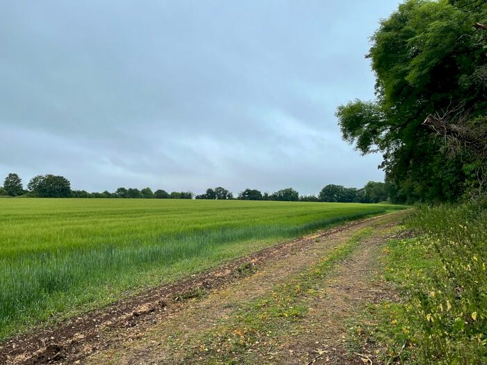 Land For Sale In Quarley, Andover, Hampshire, SP11