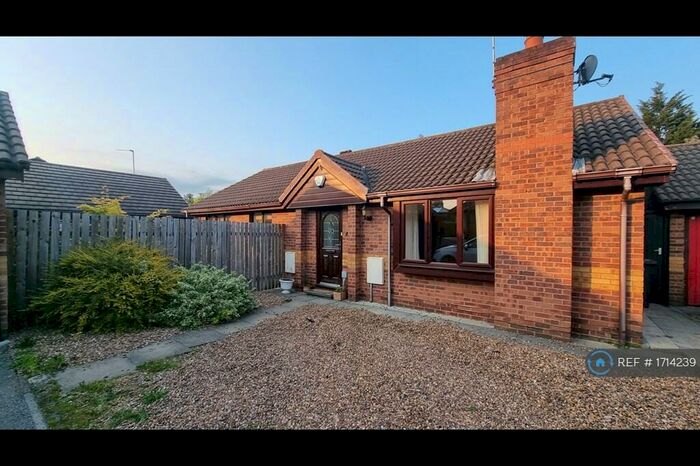 3 Bedroom Bungalow To Rent In Cranwell Road, Cantley, Doncaster, DN4