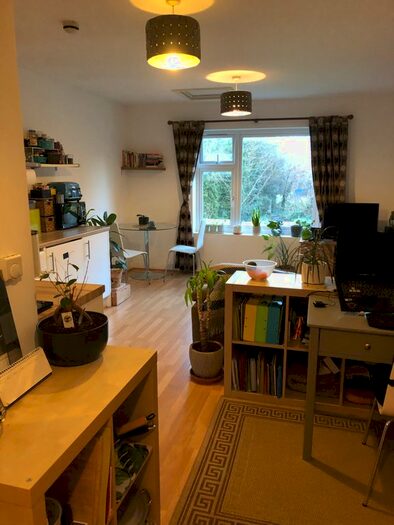 1 Bedroom Flat To Rent In Wavertree Road, London SW2