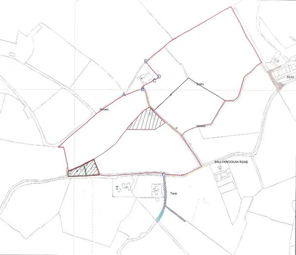 Agricultural Lands For Sale In High Quality Arable Lands Adjacent To, & Ballyknockan Road, Ballygowan, BT23