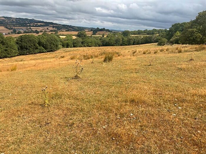 Farm Land For Sale In Part Of Wood Farm & Werngounsel Farm, Penbidwal Lane, Pandy, Abergavenny, NP7
