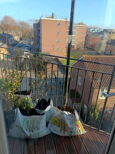 1 Bedroom Flat To Rent In Upper Clapton Road, Hackney, London, E5