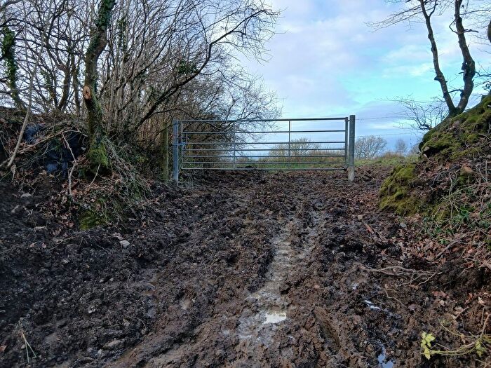 Land For Sale In Ashwater, EX21