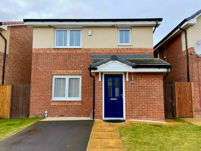 3 Bedroom House To Rent In Angelica Drive, L11