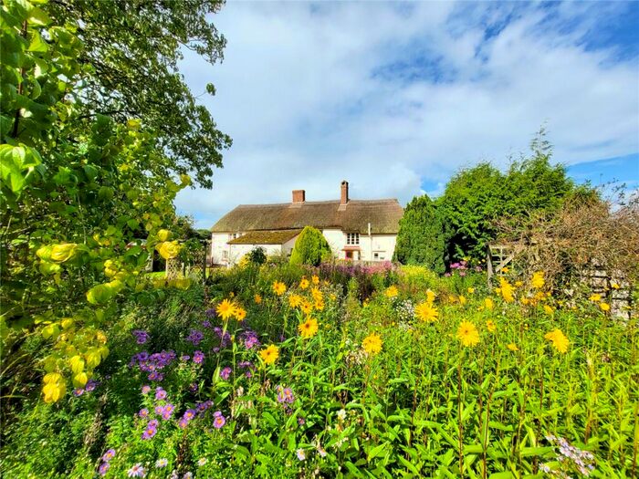 4 Bedroom Detached House For Sale In Fenny Bridges, Honiton, Devon, EX14