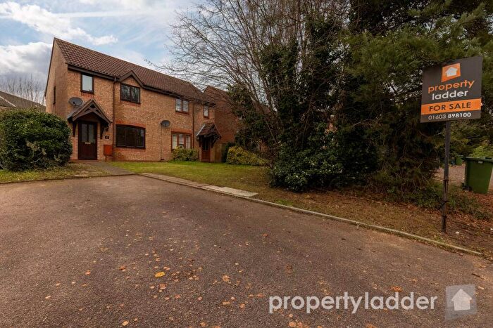 3 Bedroom Semi-Detached House For Sale In Olive Avenue, Newton Flotman, NR15