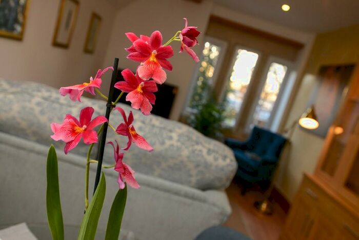 2 Bedroom Apartment To Rent In Mapperley Road, Nottingham, NG3