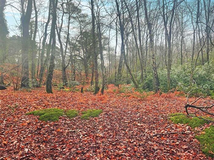 Land For Sale In Culmer Lane, Wormley, Godalming, GU8