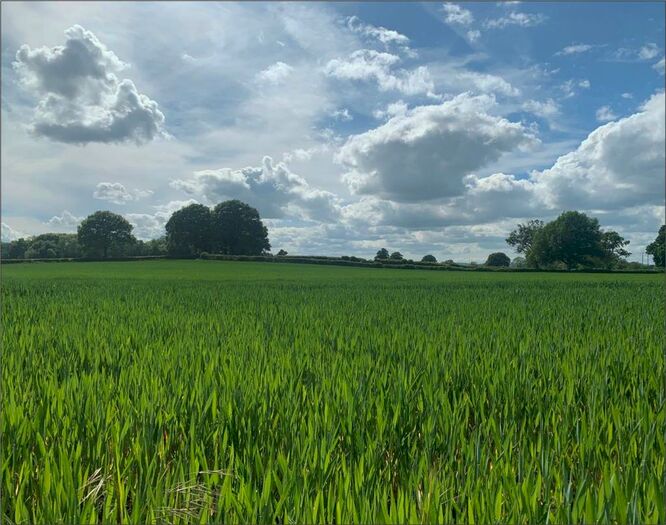 Land For Sale In Monkland, Leominster, HR6