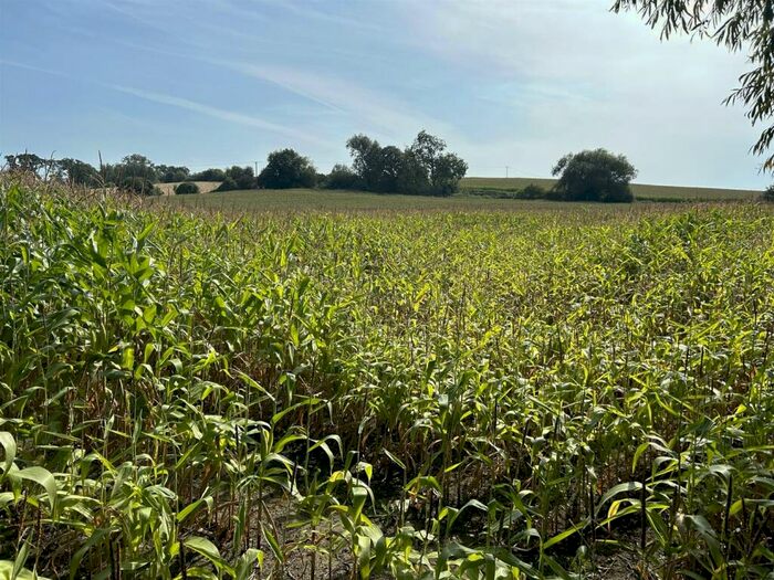 Land For Sale In School Lane, Great Cheverell, Devizes, SN10