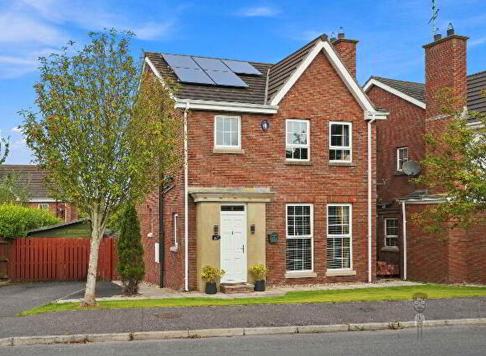 3 Bedroom Detached House To Rent In Demesne Way, Downpatrick, BT30