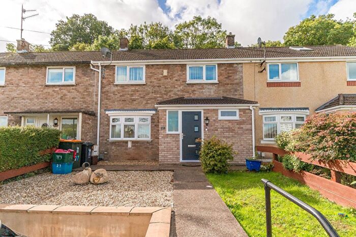3 Bedroom Terraced House For Sale In Cot Farm Circle, Newport, NP19